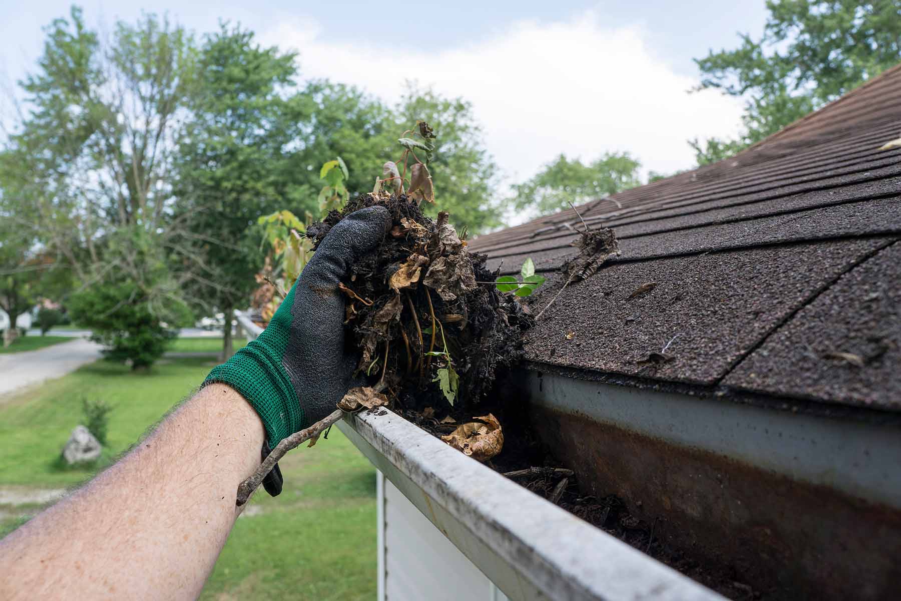 dirty gutters dirty gutters