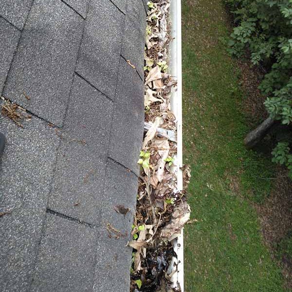 Gutter_in_need_of_cleaning2 Gutter_in_need_of_cleaning2
